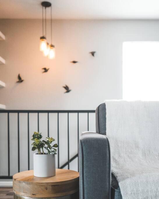 Porchlight Home Central San Diego Free Parking Eksteriør bilde
